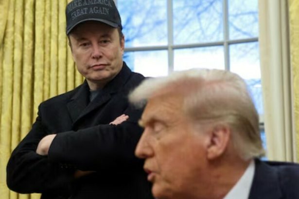 White House says Musk is not DOGE employee, has no authority to make decisions