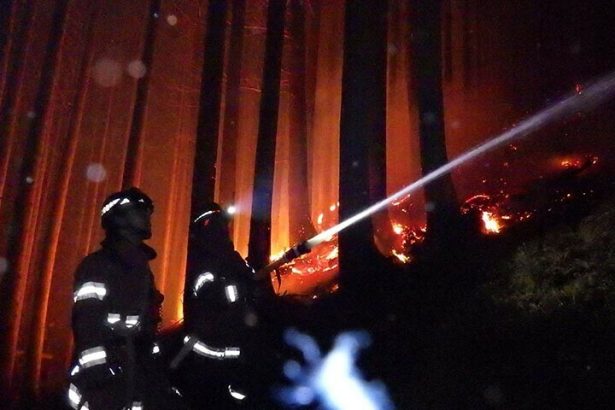 Japan’s worst wildfire in 50 years makes 4,000 homeless