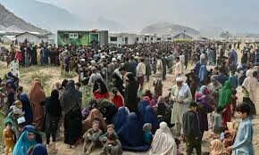 PEN International calls on govt to halt mass deportations of Afghans from Pakistan