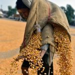 India exporters say 50pc Trump levy ‘severe setback’