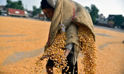 India exporters say 50pc Trump levy ‘severe setback’