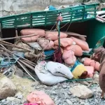 At least 11 dead, 3 wounded as truck crashes in KP’s DI Khan: Rescue 1122