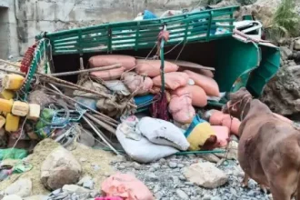 At least 11 dead, 3 wounded as truck crashes in KP’s DI Khan: Rescue 1122