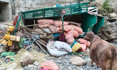 At least 11 dead, 3 wounded as truck crashes in KP’s DI Khan: Rescue 1122