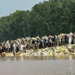 ‘Restart from scratch’: Flood-hit Indian farmers look at swelling losses