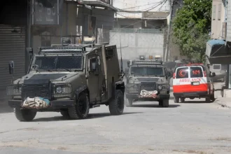 Israeli settlers burn Palestinian home, fell olive trees in West Bank