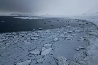 Arctic sees hottest year since 1900 as climate crisis continues